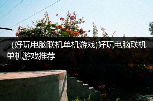 （好玩电脑联机单机游戏)好玩电脑联机单机游戏推荐