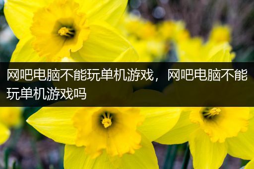 网吧电脑不能玩单机游戏，网吧电脑不能玩单机游戏吗