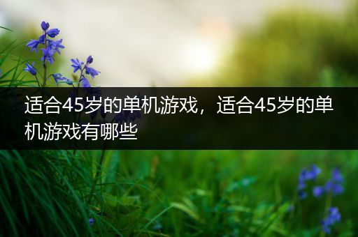 适合45岁的单机游戏，适合45岁的单机游戏有哪些