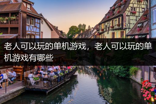 老人可以玩的单机游戏，老人可以玩的单机游戏有哪些