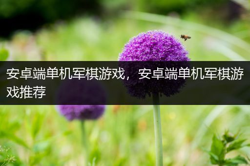 安卓端单机军棋游戏，安卓端单机军棋游戏推荐
