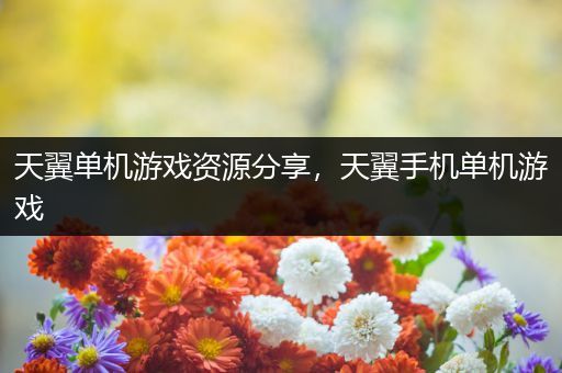 天翼单机游戏资源分享，天翼手机单机游戏