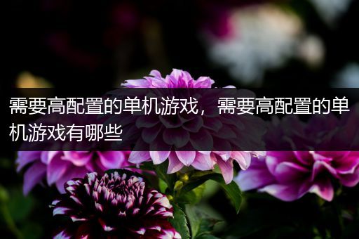 需要高配置的单机游戏，需要高配置的单机游戏有哪些