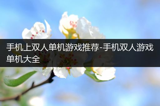 手机上双人单机游戏推荐-手机双人游戏单机大全