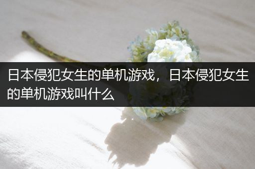 日本侵犯女生的单机游戏，日本侵犯女生的单机游戏叫什么