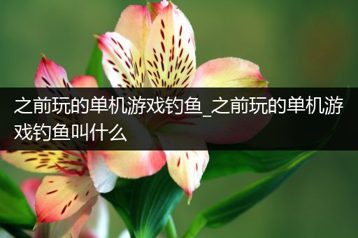 之前玩的单机游戏钓鱼_之前玩的单机游戏钓鱼叫什么