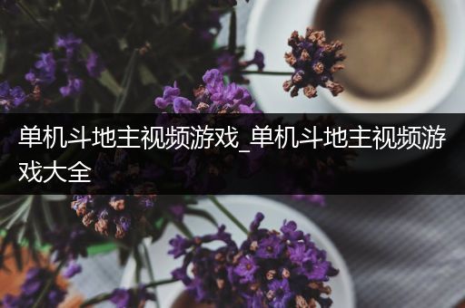 单机斗地主视频游戏_单机斗地主视频游戏大全