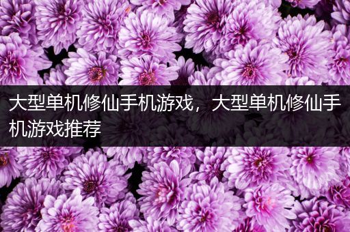 大型单机修仙手机游戏，大型单机修仙手机游戏推荐