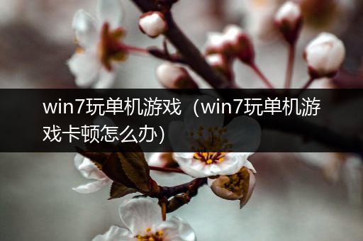 win7玩单机游戏（win7玩单机游戏卡顿怎么办）