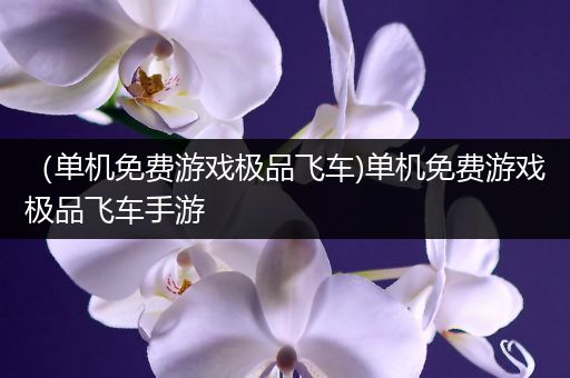 （单机免费游戏极品飞车)单机免费游戏极品飞车手游