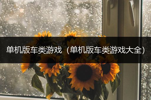 单机版车类游戏（单机版车类游戏大全）