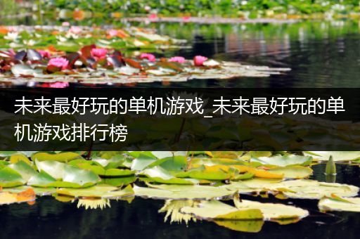 未来最好玩的单机游戏_未来最好玩的单机游戏排行榜