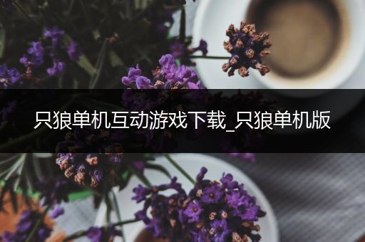 只狼单机互动游戏下载_只狼单机版