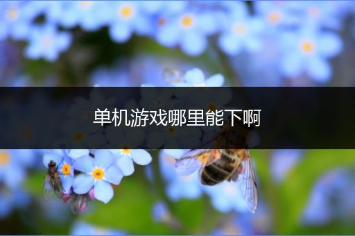 单机游戏哪里能下啊