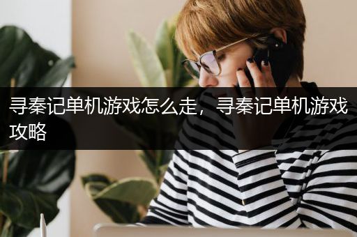 寻秦记单机游戏怎么走，寻秦记单机游戏攻略