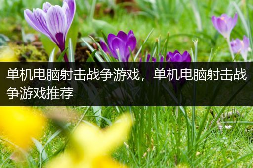 单机电脑射击战争游戏，单机电脑射击战争游戏推荐