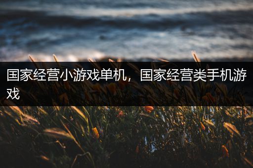 国家经营小游戏单机，国家经营类手机游戏