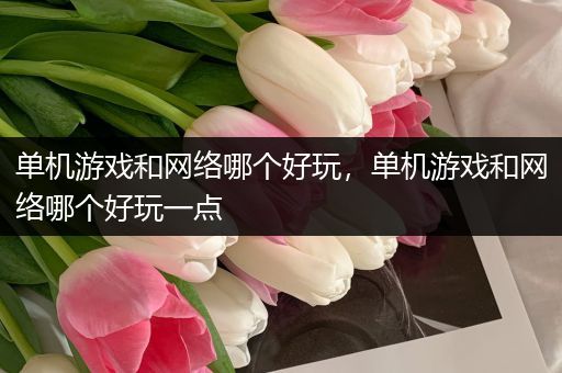 单机游戏和网络哪个好玩，单机游戏和网络哪个好玩一点