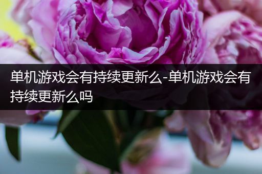 单机游戏会有持续更新么-单机游戏会有持续更新么吗