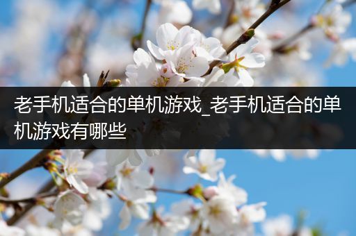 老手机适合的单机游戏_老手机适合的单机游戏有哪些