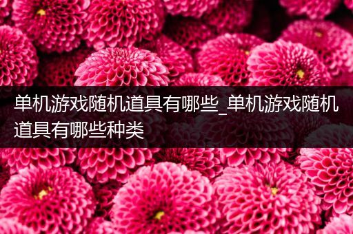 单机游戏随机道具有哪些_单机游戏随机道具有哪些种类