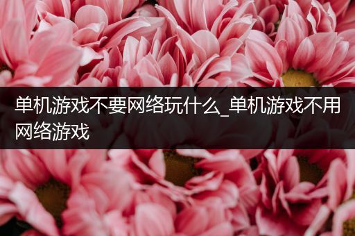 单机游戏不要网络玩什么_单机游戏不用网络游戏