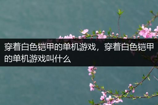 穿着白色铠甲的单机游戏，穿着白色铠甲的单机游戏叫什么