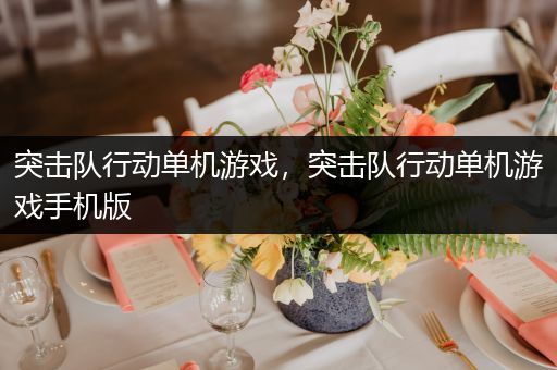 突击队行动单机游戏，突击队行动单机游戏手机版