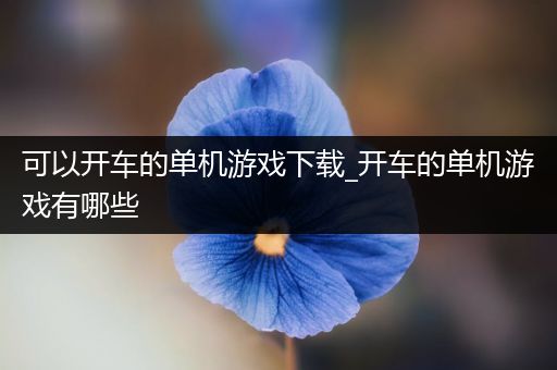 可以开车的单机游戏下载_开车的单机游戏有哪些