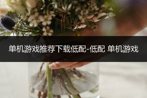 单机游戏推荐下载低配-低配 单机游戏