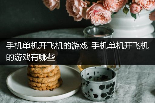 手机单机开飞机的游戏-手机单机开飞机的游戏有哪些