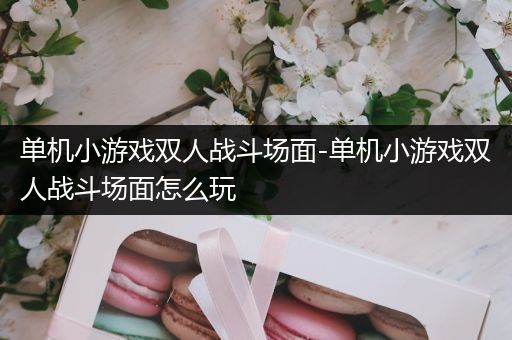单机小游戏双人战斗场面-单机小游戏双人战斗场面怎么玩