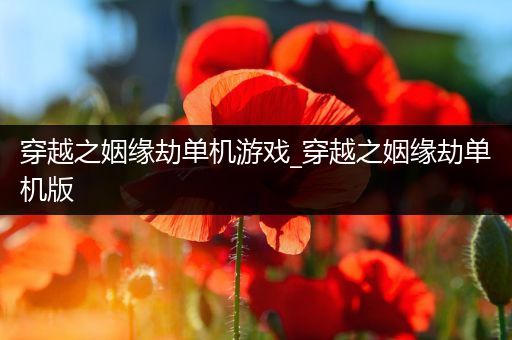穿越之姻缘劫单机游戏_穿越之姻缘劫单机版