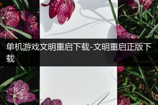 单机游戏文明重启下载-文明重启正版下载