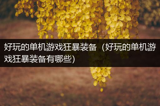 好玩的单机游戏狂暴装备（好玩的单机游戏狂暴装备有哪些）