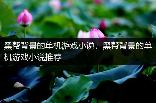 黑帮背景的单机游戏小说，黑帮背景的单机游戏小说推荐