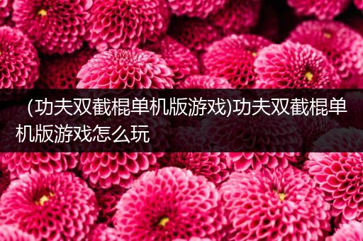 （功夫双截棍单机版游戏)功夫双截棍单机版游戏怎么玩