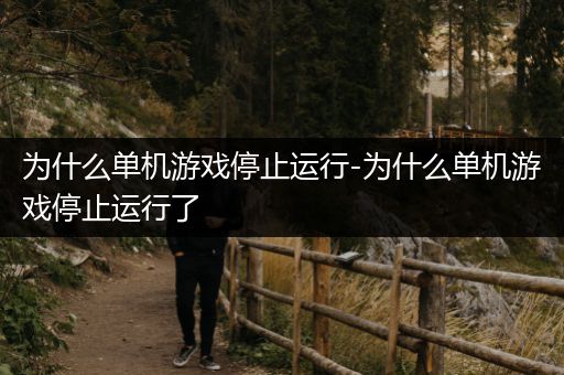 为什么单机游戏停止运行-为什么单机游戏停止运行了