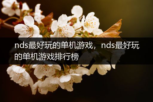 nds最好玩的单机游戏，nds最好玩的单机游戏排行榜