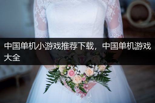 中国单机小游戏推荐下载，中国单机游戏大全