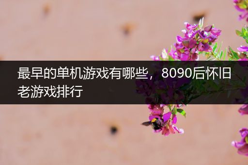 最早的单机游戏有哪些，8090后怀旧老游戏排行
