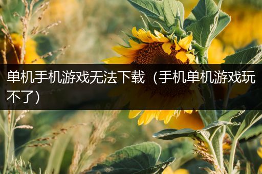 单机手机游戏无法下载（手机单机游戏玩不了）