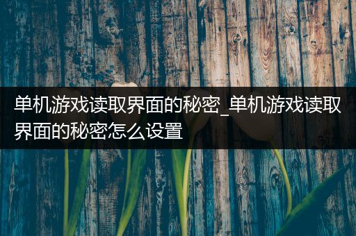 单机游戏读取界面的秘密_单机游戏读取界面的秘密怎么设置