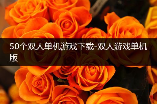 50个双人单机游戏下载-双人游戏单机版