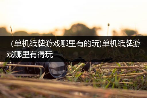 （单机纸牌游戏哪里有的玩)单机纸牌游戏哪里有得玩