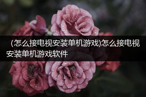 （怎么接电视安装单机游戏)怎么接电视安装单机游戏软件