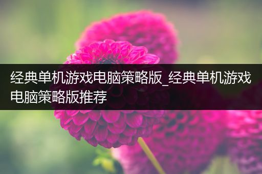 经典单机游戏电脑策略版_经典单机游戏电脑策略版推荐