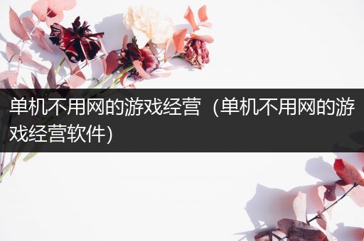 单机不用网的游戏经营（单机不用网的游戏经营软件）