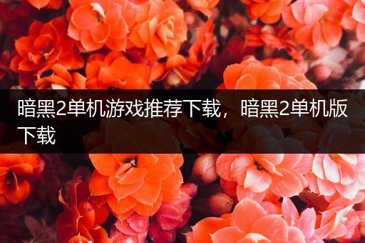 暗黑2单机游戏推荐下载，暗黑2单机版下载