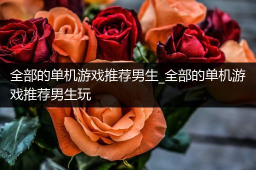 全部的单机游戏推荐男生_全部的单机游戏推荐男生玩